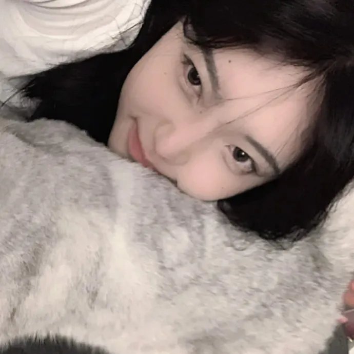 姐妹情仇