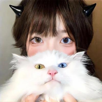 奉子不成婚