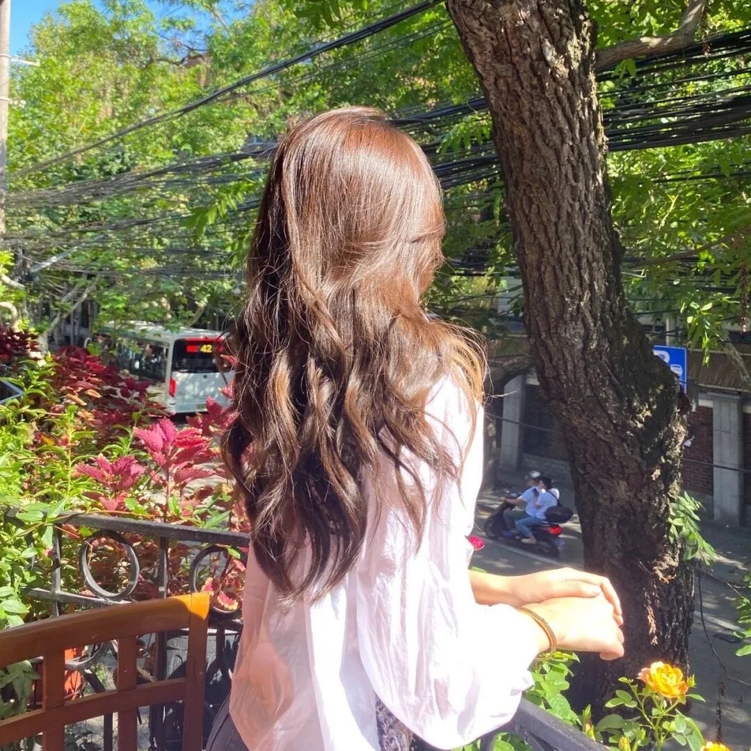 亚西西的圣方济各